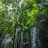 cascade et rayon de soleil Mayotte