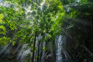 cascade et rayon de soleil Mayotte